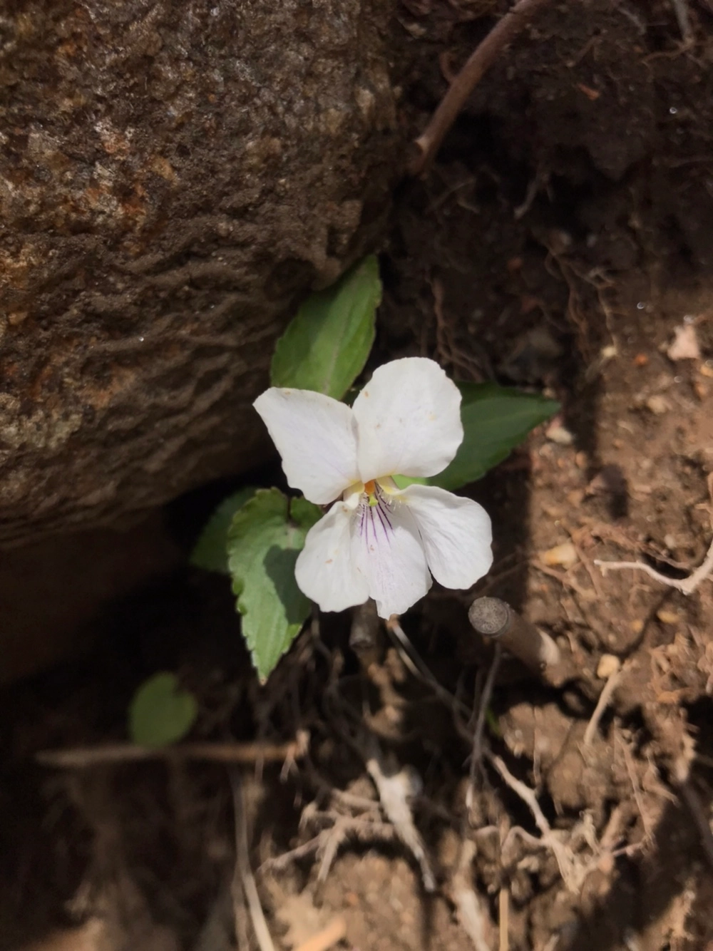 리뷰 이미지 1
