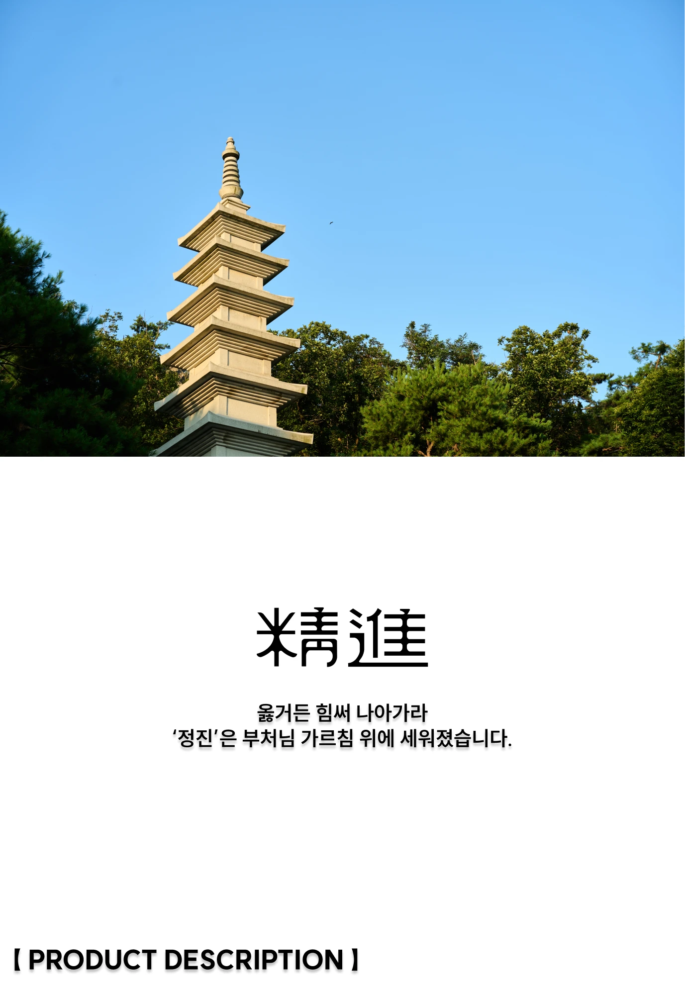 정진 여성 슬림핏 반팔 티셔츠 | 精進 상세 이미지 1