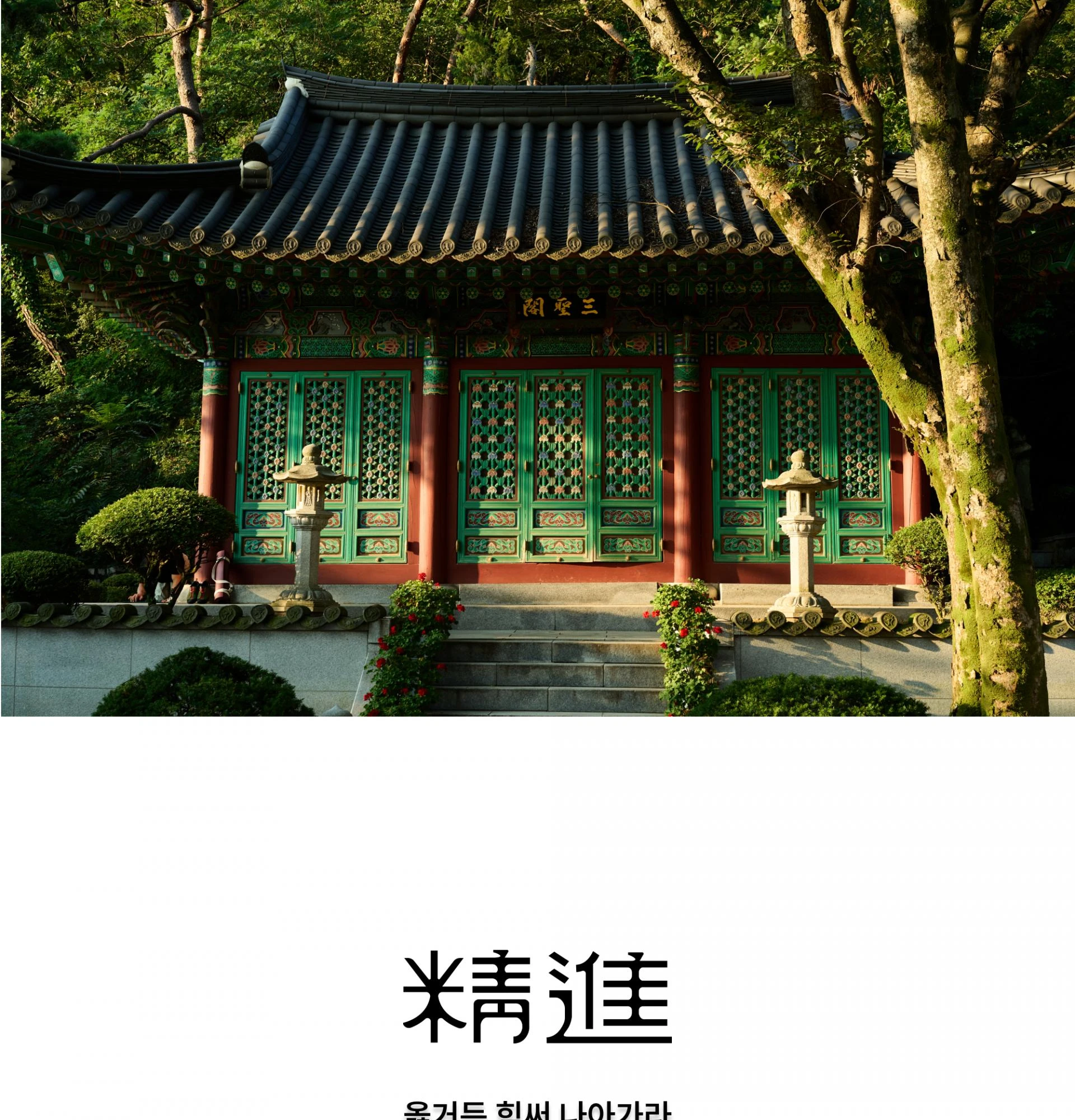 정진 클래식 비니 | 精進 상세 이미지 1
