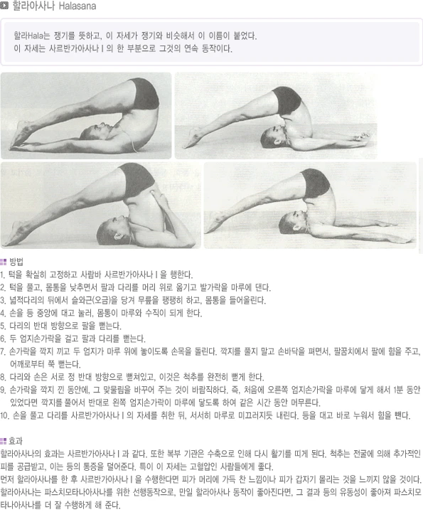 pranayama-31.webp