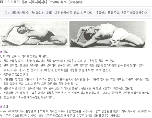 pranayama-25.webp