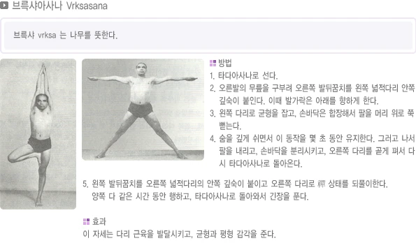 pranayama-50.webp