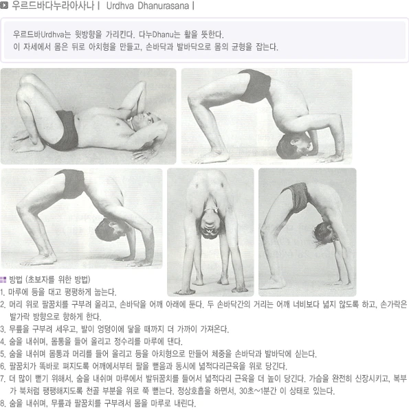pranayama-45.webp