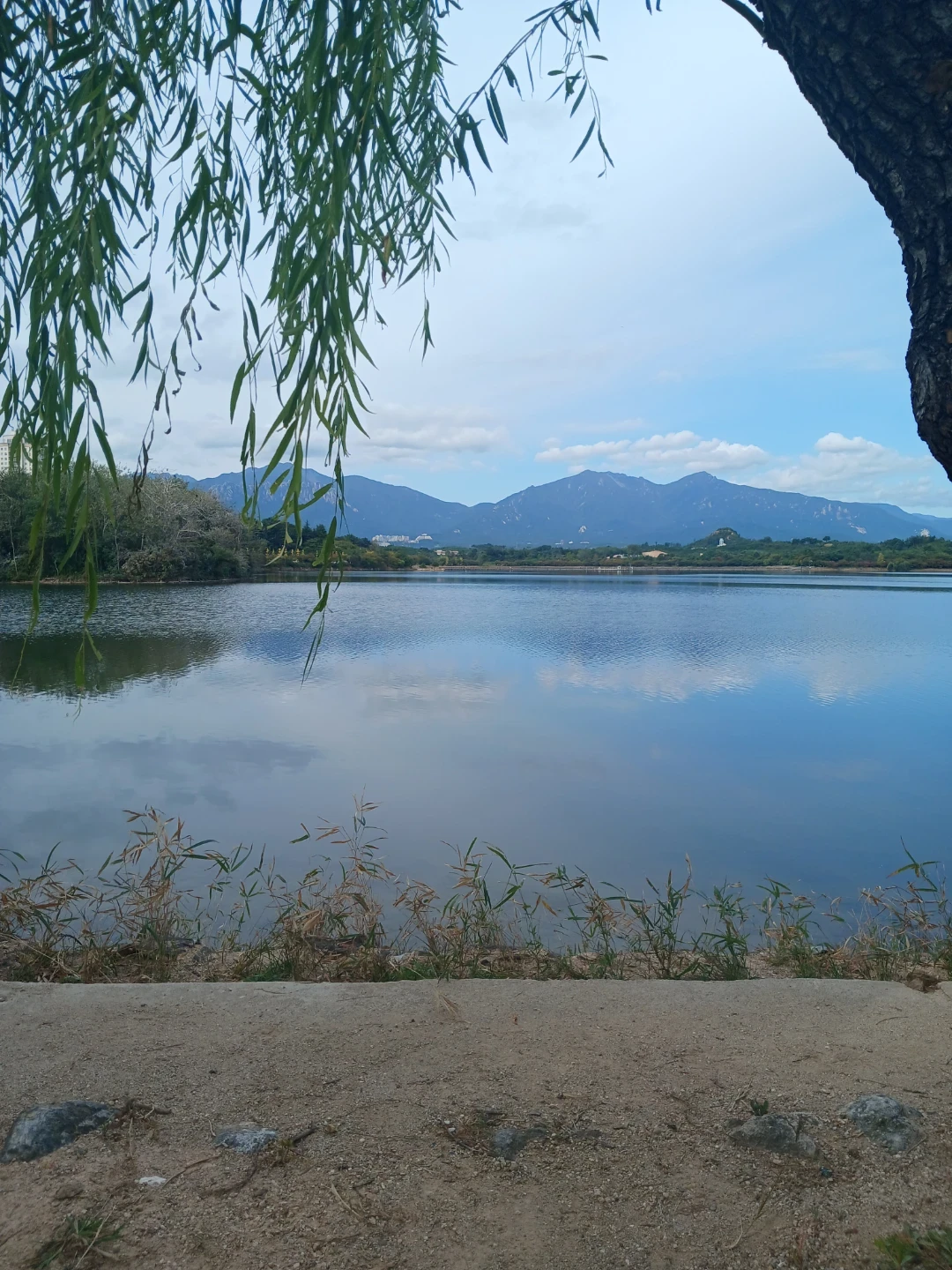 14119d62-08ee-44c0-b906-53e703562523.webp