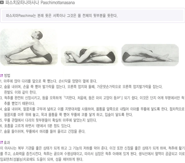 pranayama-27.webp
