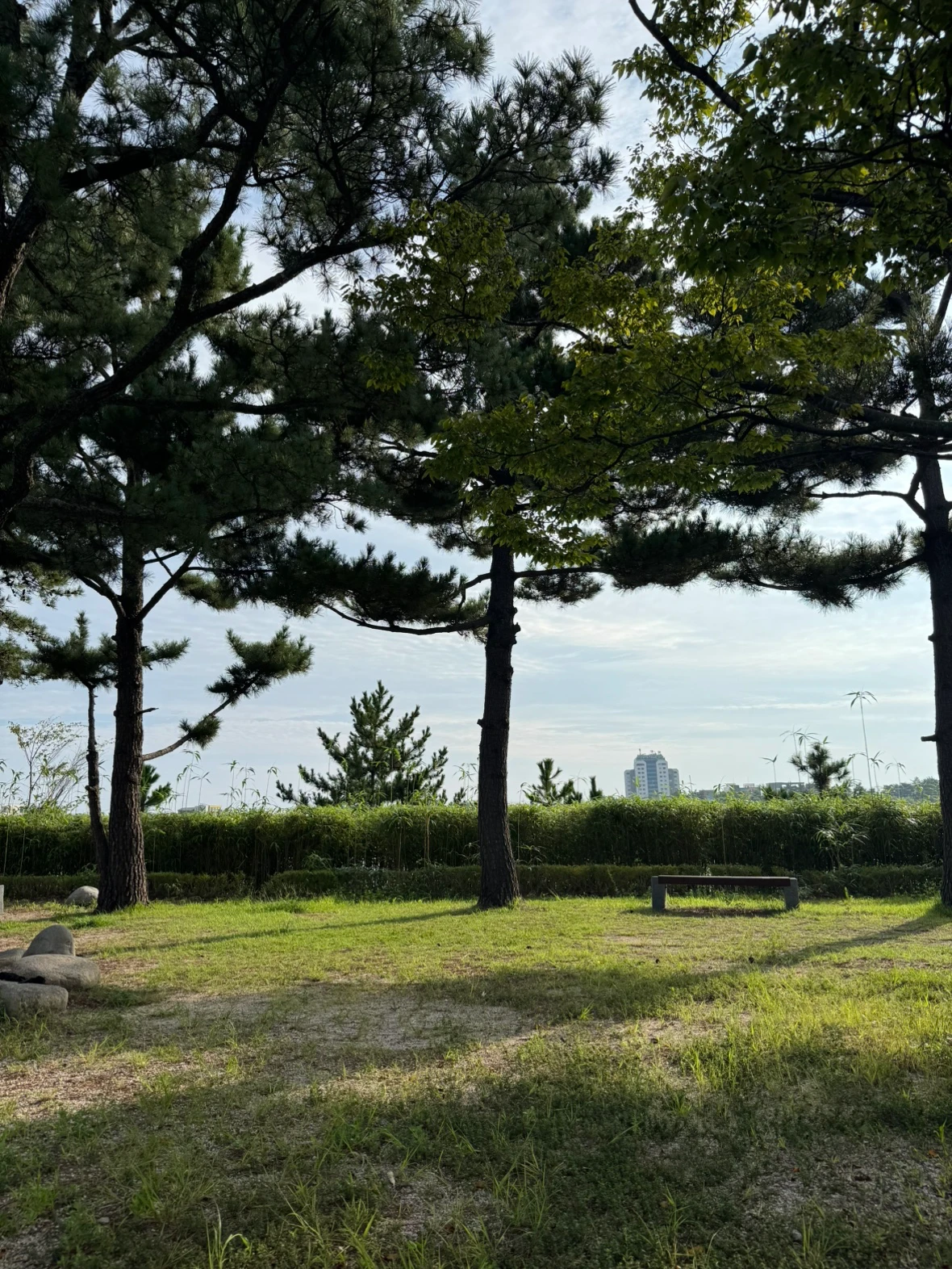 e92c289b-e7c1-42be-a993-ac9a5626384b.png