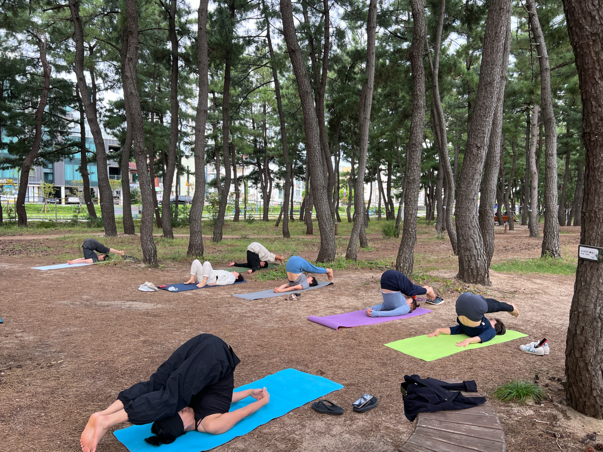 KakaoTalk_20260919_131744422.jpg