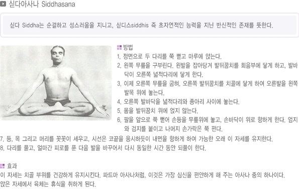 pranayama-17.webp