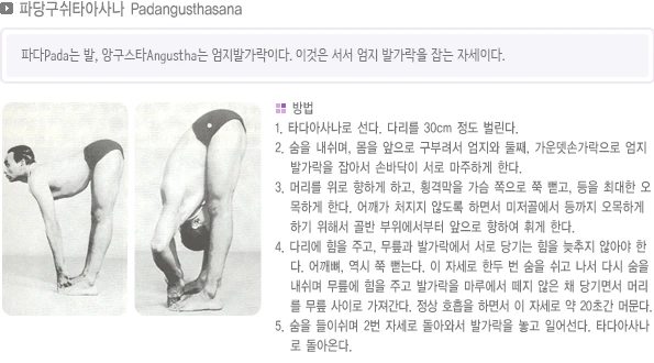 pranayama-03.webp