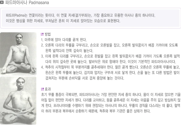 pranayama-22.webp