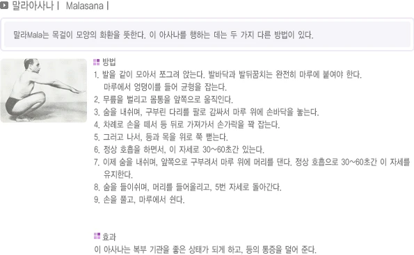 pranayama-40.webp