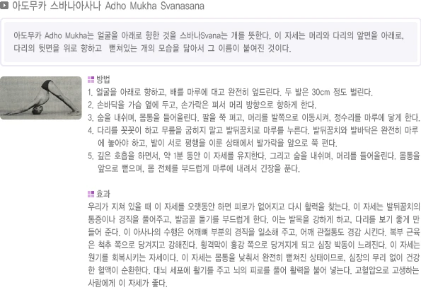 pranayama-13.webp