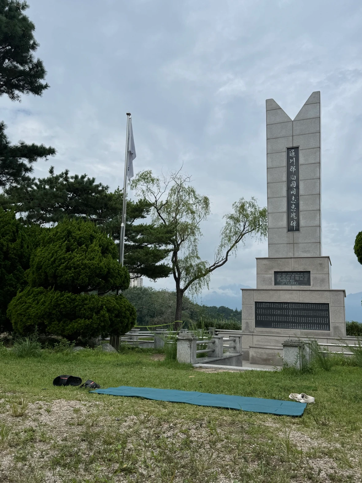 ca240683-5384-499d-bf70-e0606cbd74da.png