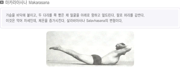 pranayama-07.webp