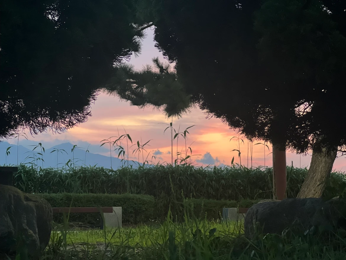 5c47203a-7ab7-4a27-b3c2-e7684ceced27.png
