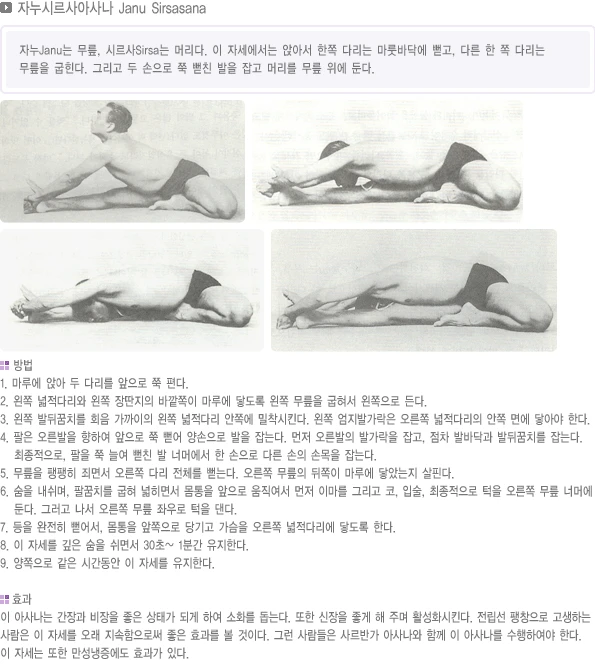 pranayama-24.webp