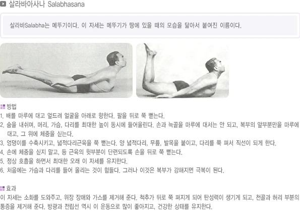 pranayama-06.webp