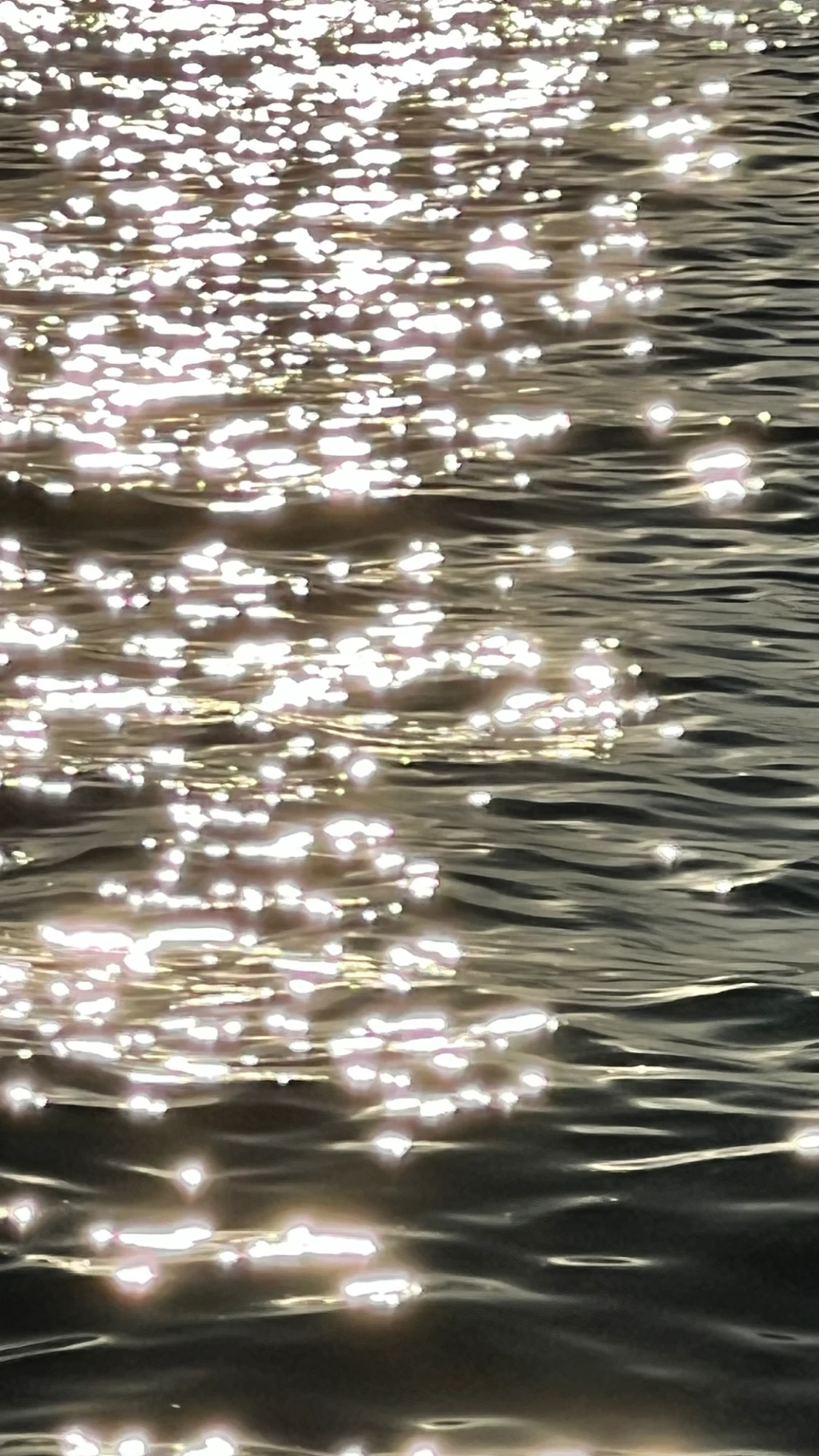 504dd31d-df50-435e-8143-bd01edc05ee1.png
