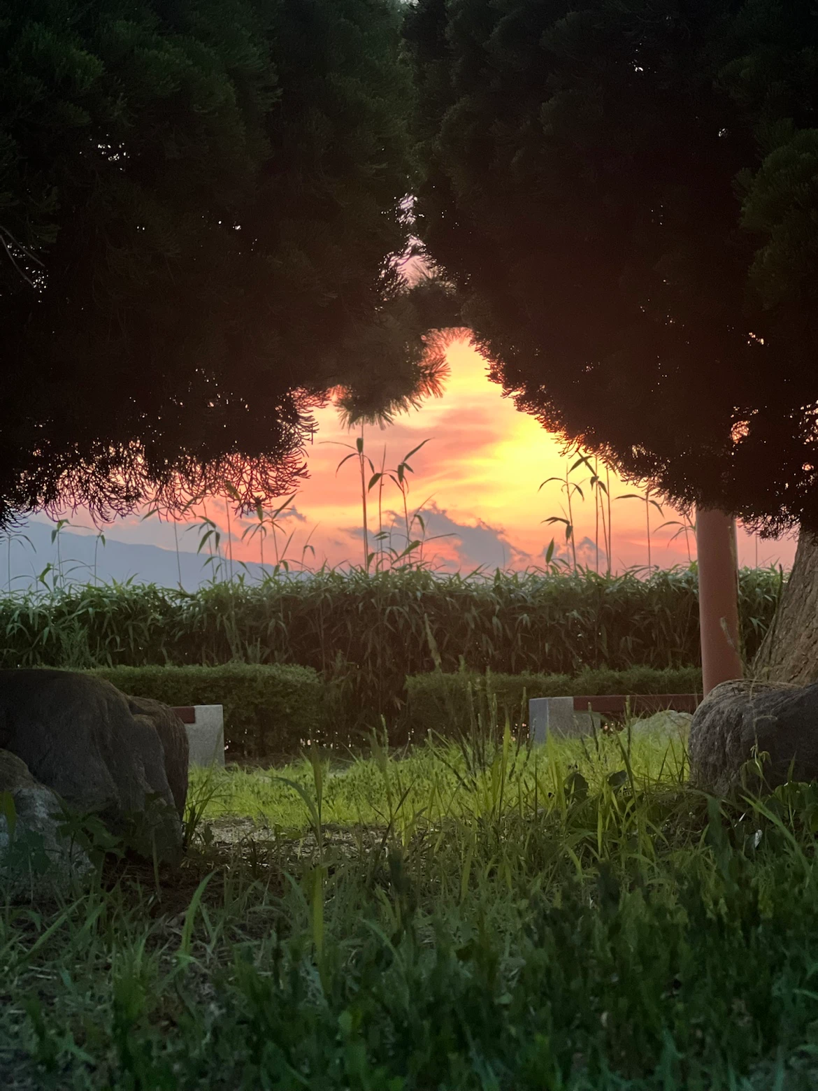 bbf2c62a-a6d1-4992-9567-4725f770f79f.png