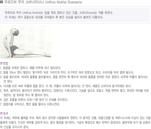 pranayama-12.webp