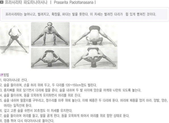 pranayama-59.webp
